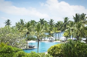 blick durch die exotischen asiatischen dschungel pflanzen auf den grrossen klaren hellblauen pool der von palmen umringt ist mit sonnenliegen an der seite direkt am klaren blauen wasser vom meer im edlen exotischen luxuriösen und hochklassigen disgner hot